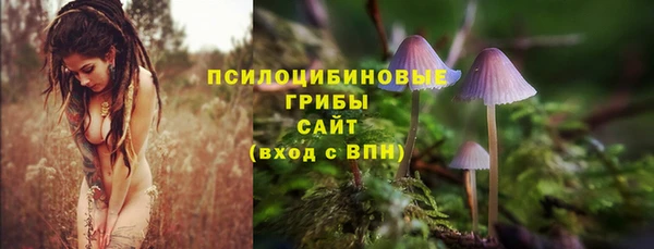 мет Алексин