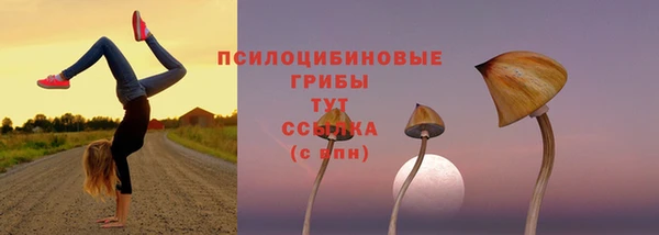 мескалин Семикаракорск