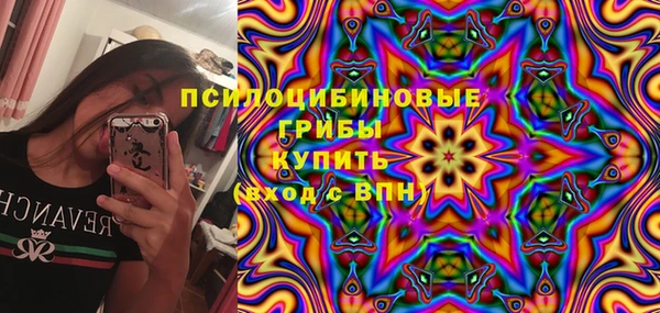 гидра Алзамай