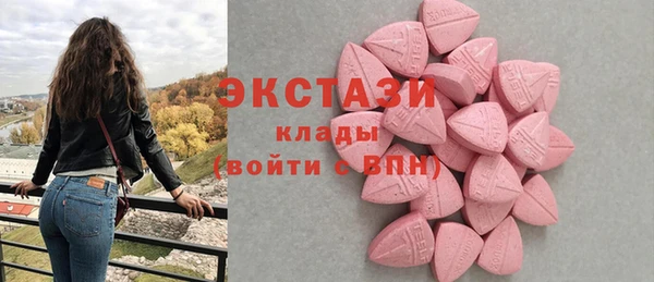 мет Алексин