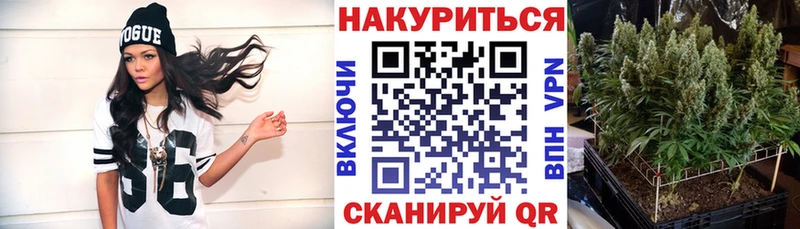 Бошки марихуана Ganja  ссылка на мегу онион  Шахунья 